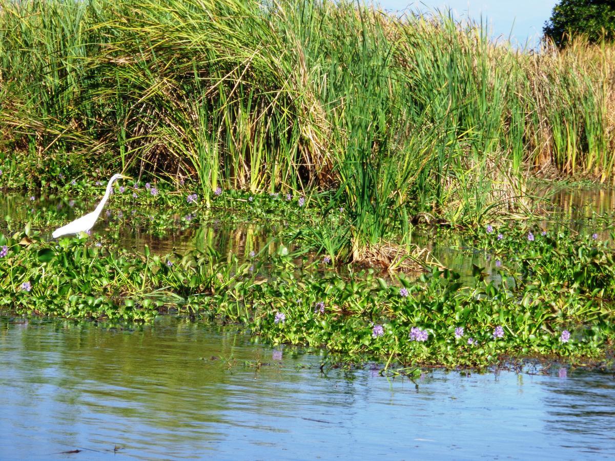 Marbella Eco Lodge Monterrico Luaran gambar