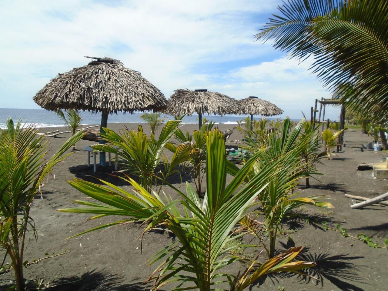 Marbella Eco Lodge Monterrico Luaran gambar